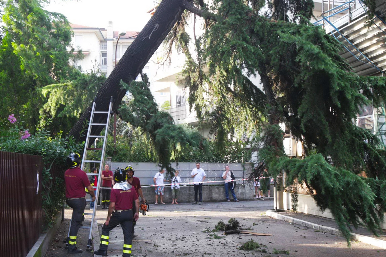 Albero pericolante nella Bergamasca per il maltempo