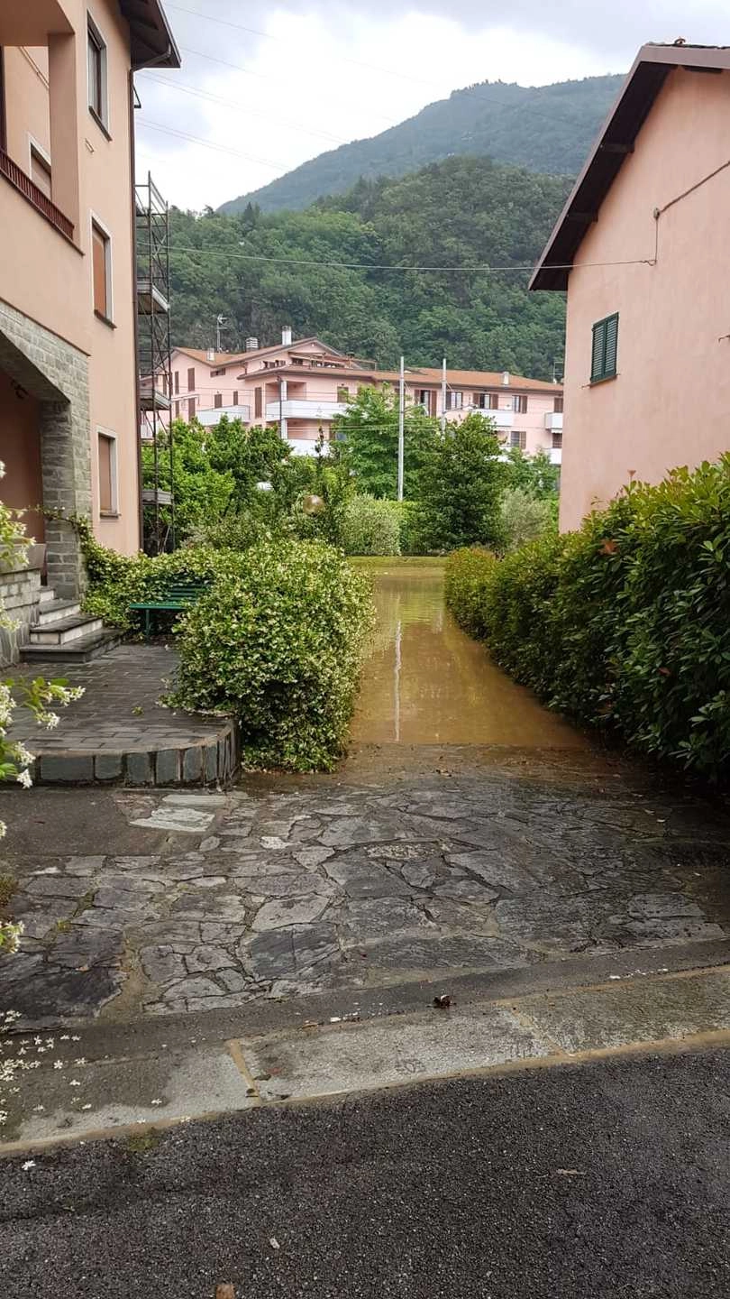 immagine di sfondo 3