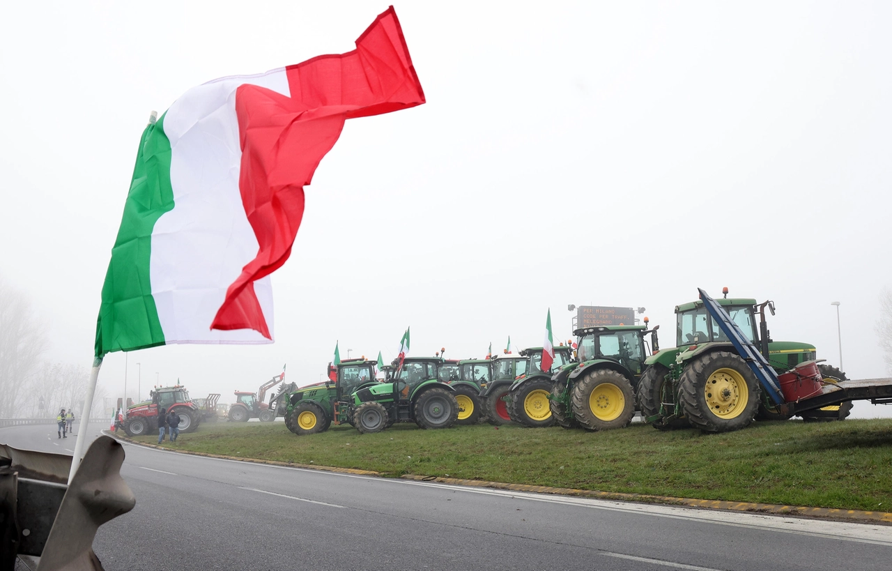 immagine di sfondo 1