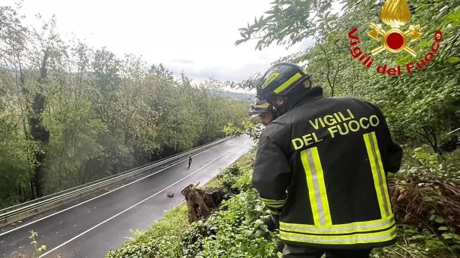Piante e massi sulle strade, traffico in tilt a Malpensa e sull’A8 Piante e massi sulle strade, traffico in tilt a Malpensa e sull’A8