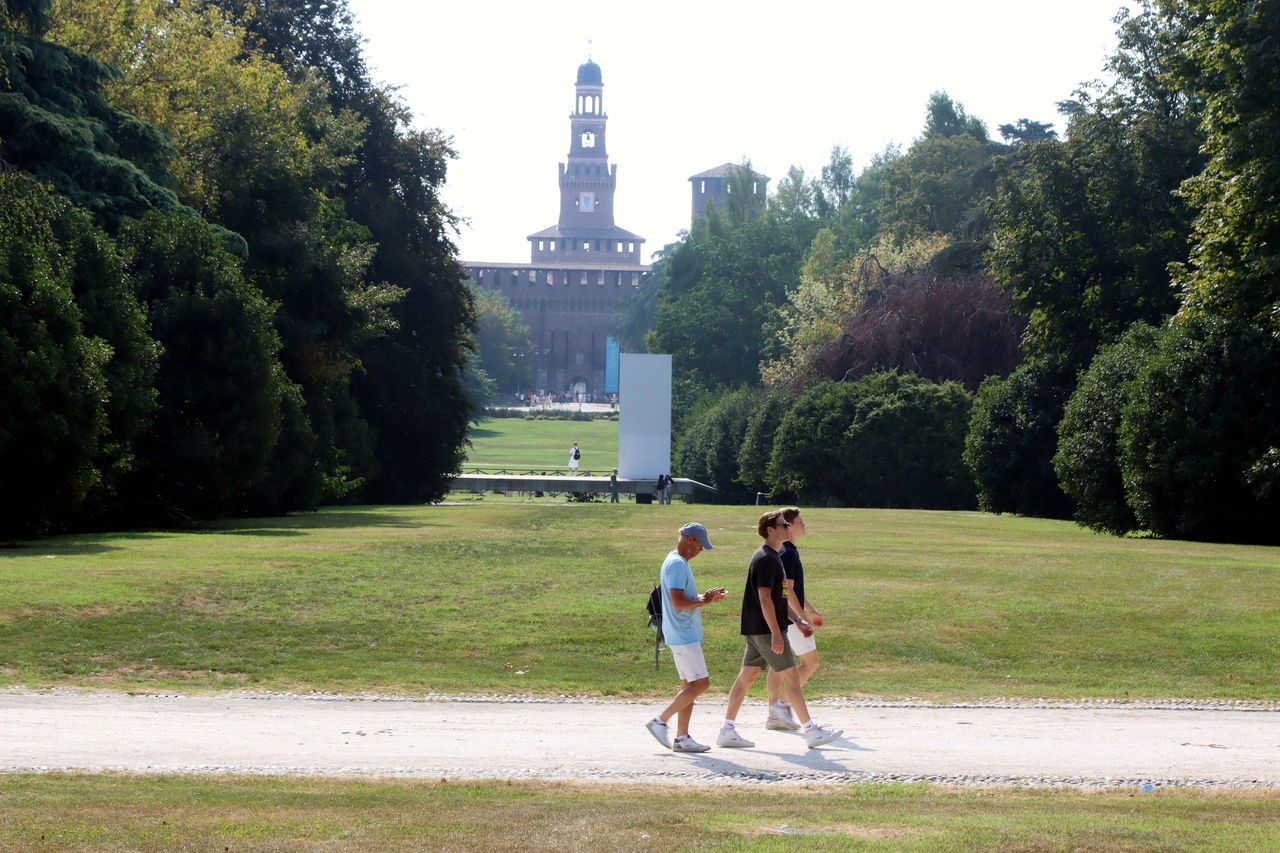 immagine di sfondo 7