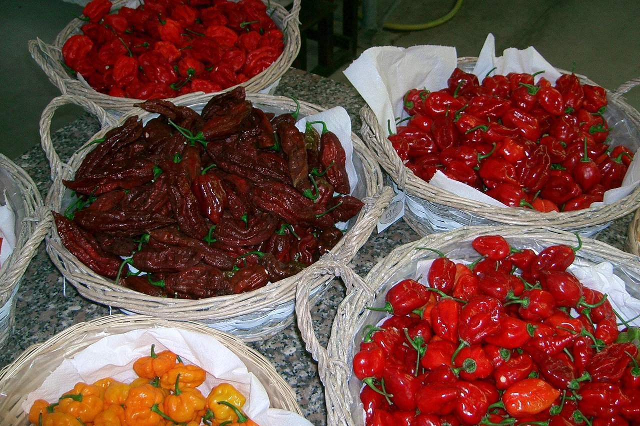 Peperoncino