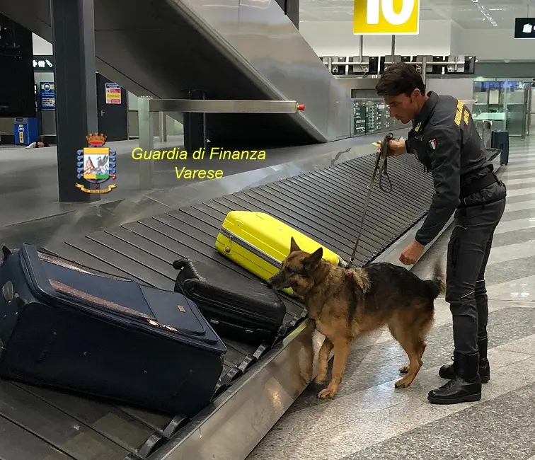 Fiumi di cocaina a Malpensa da Olanda e Sud America: 7 arresti