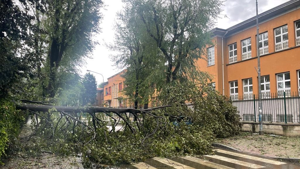"Apocalisse a Desio: Capannoni allagati, auto distrutte, zona ospedale in tilt"
"Apocalisse a Desio: Capannoni allagati, auto distrutte, zona ospedale in tilt"