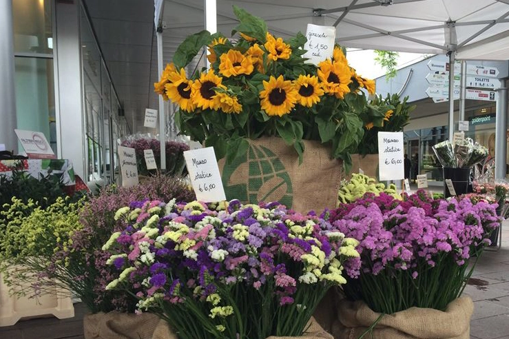 Mercato piante