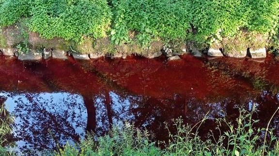 Un'inquietante immagine del torrente rosso