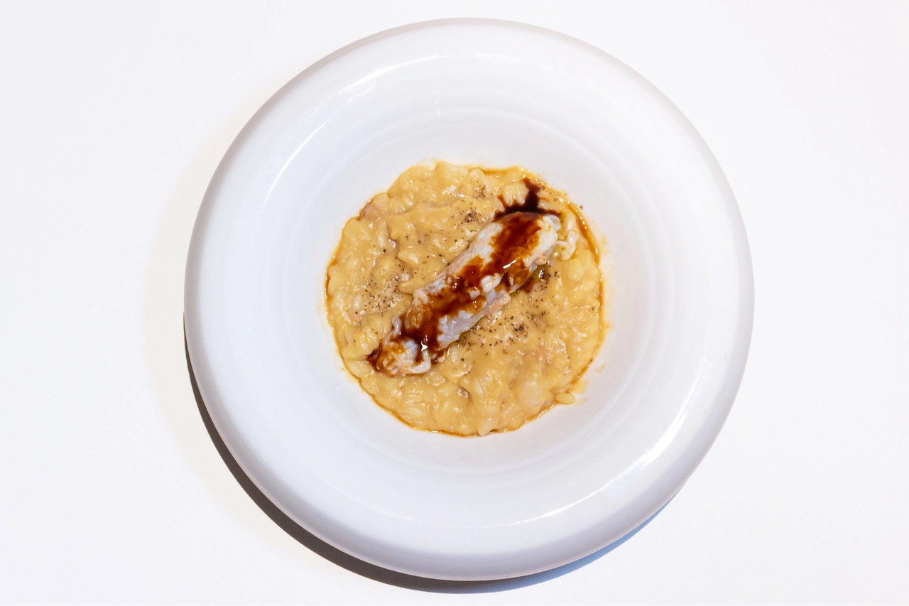 Risotto al foie gras affumicato e scampi