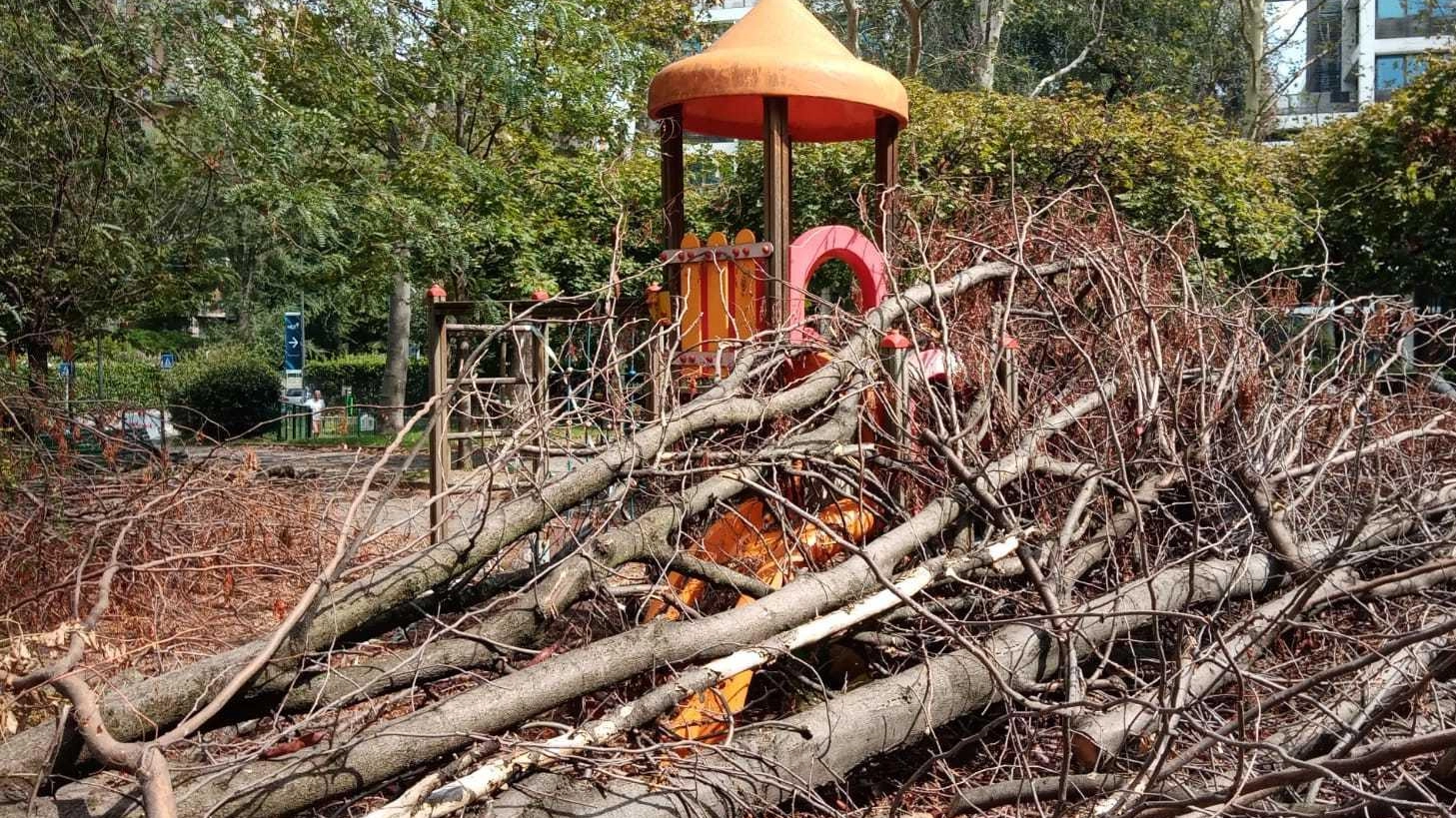 Alberti caduti nei giardini di via Tortona Alberti caduti nei giardini di via Tortona