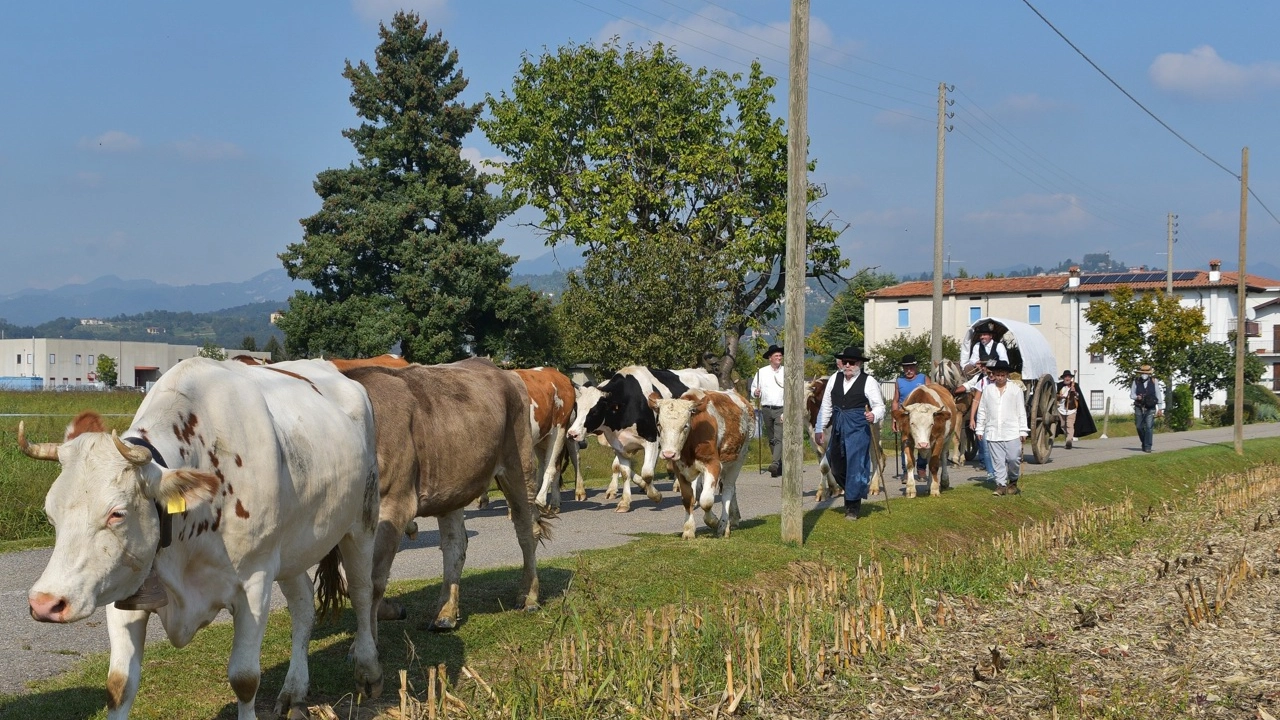 Appuntamento sabato 25 settembre per rievocazione storica: partenza dalla città orobica, poi tappe intermedie verso la pianura fino alla festa finale a Lodi e Lodi Vecchio il 2 ottobre