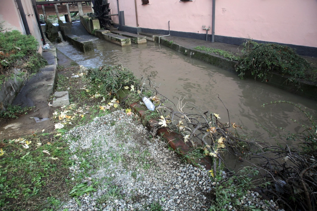 immagine di sfondo 10