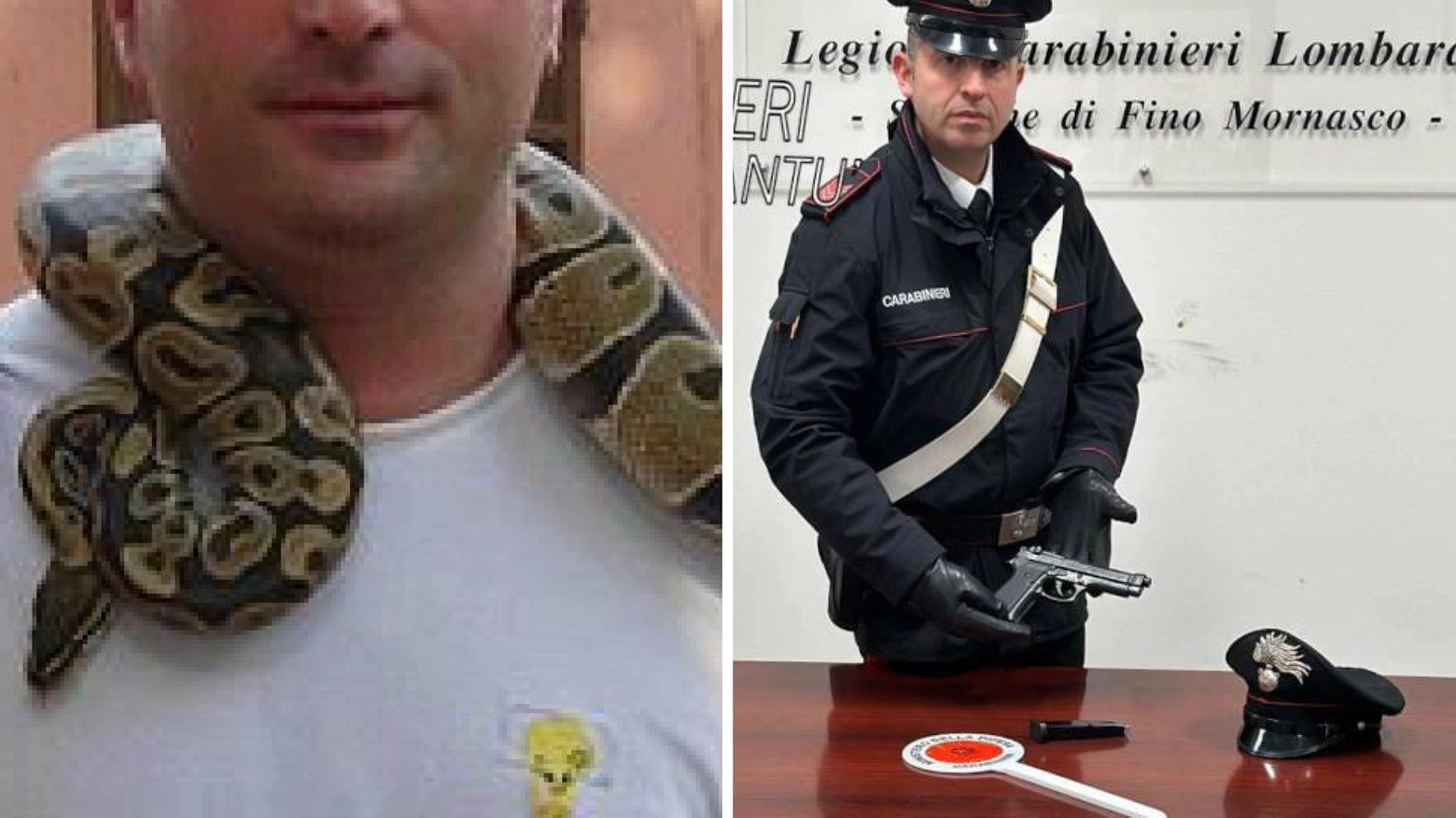A destra, la pistola sequestrata dai carabinieri di Fino Mornasco