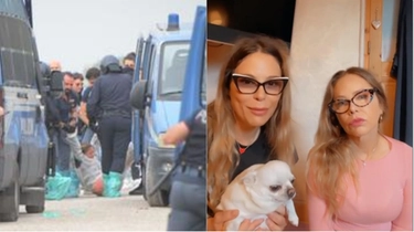 Peste suina, lo sgombero degli animalisti indigna Naike Rivelli e la madre Ornella Muti. La denuncia in un video