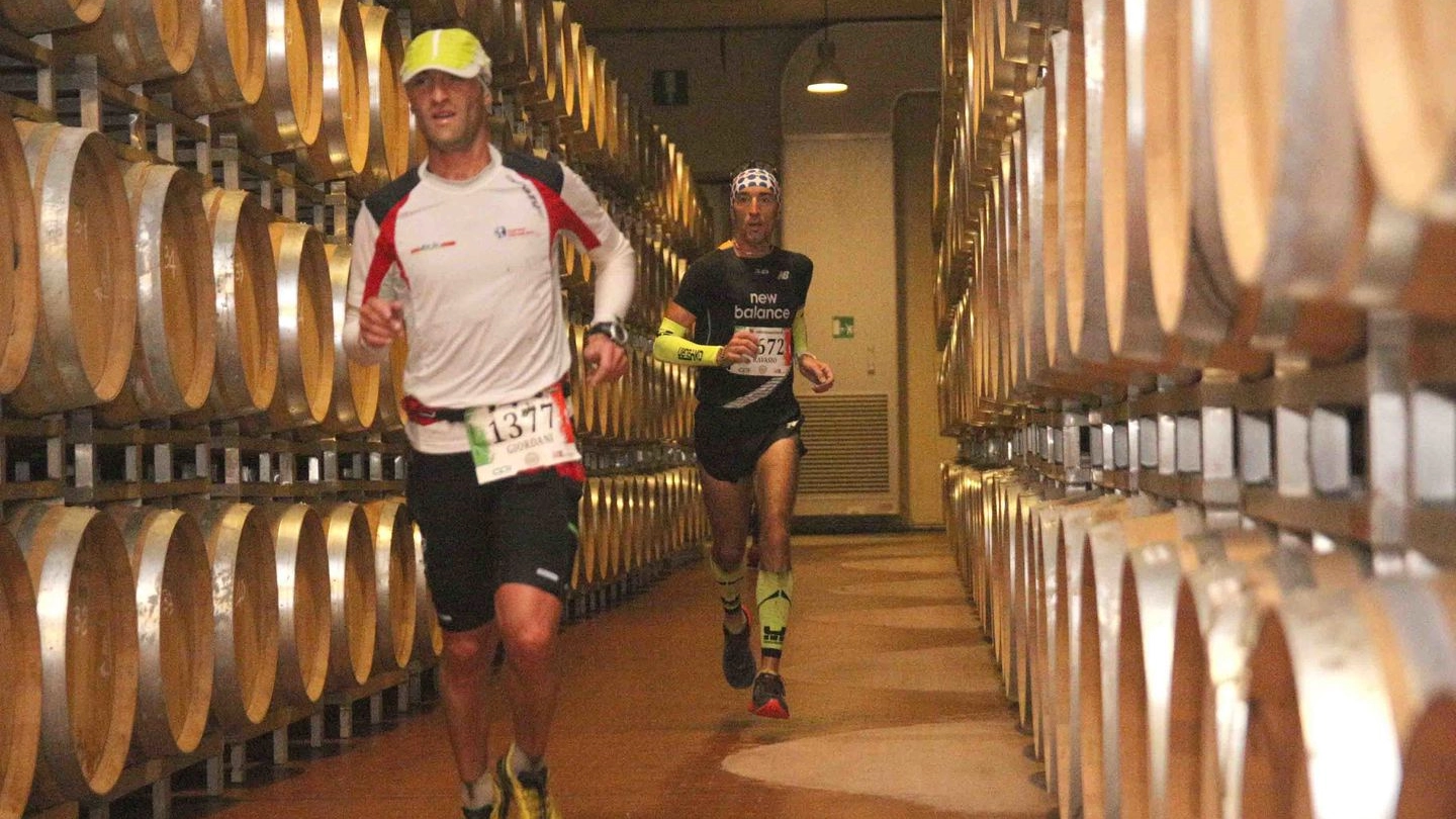 Valtellina Wine Trail, di corsa nelle cantine