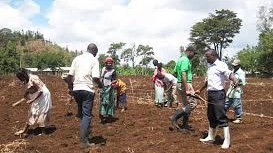 Il ricavato sarà utilizzato anche per promuovere coltivazioni ecocompatibili in Zambia