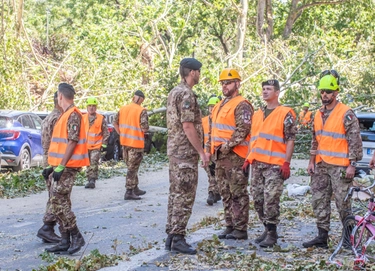 Maltempo a Milano, l’esercito libera le strade dagli alberi caduti / FOTO