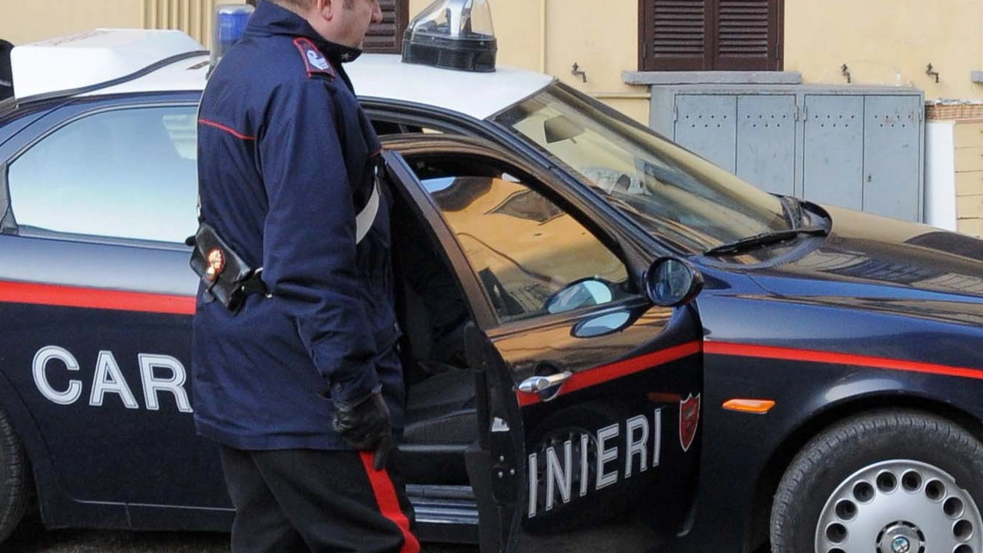 Lite in casa a Spino d'Adda: butta fuori i coinquilini e morde i carabinieri