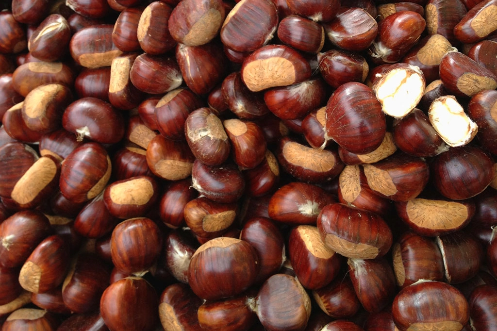 castagna