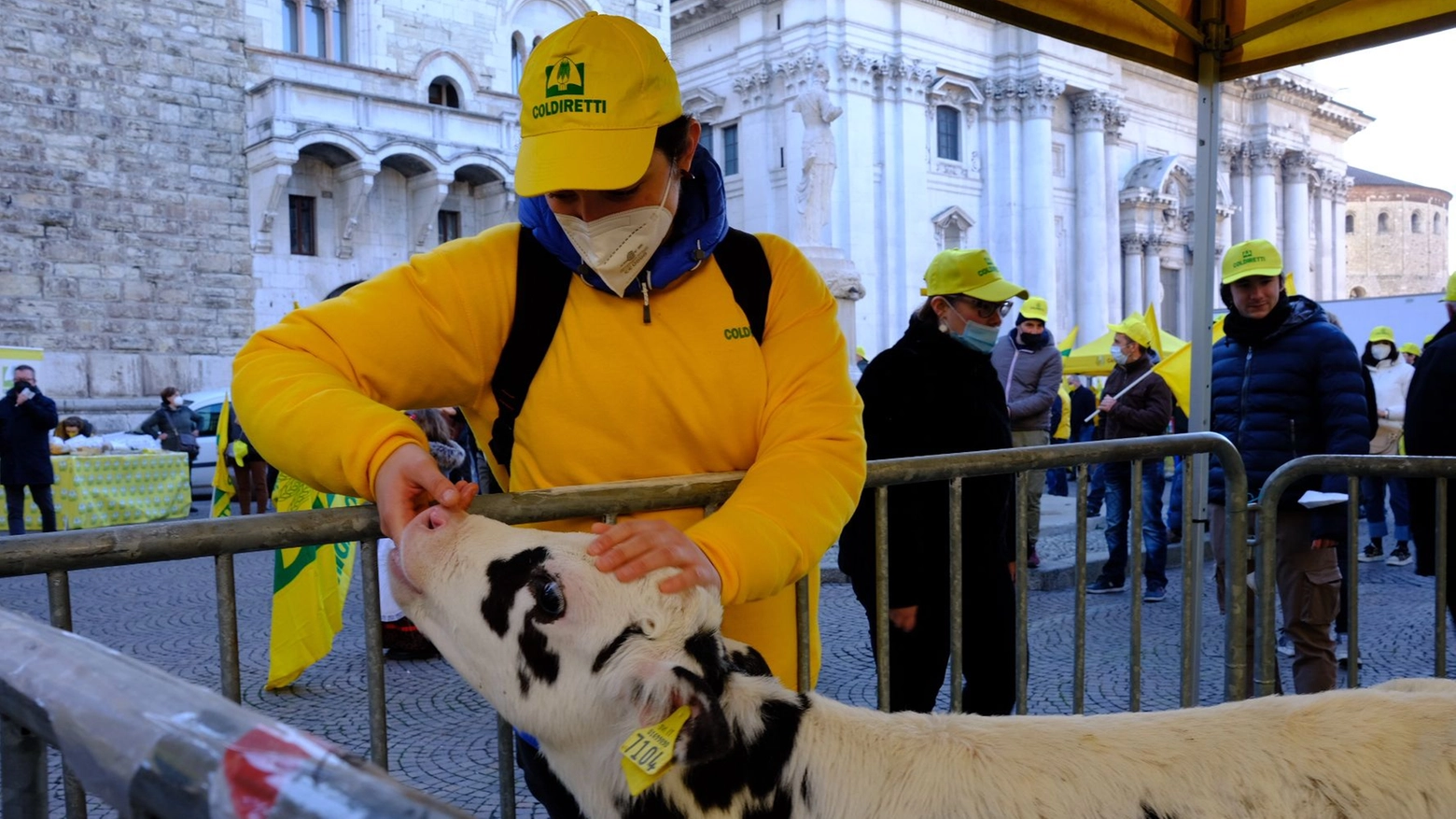 Piazza Duomo si colora di giallo, Coldiretti: "Il mancato riconoscimento dei prezzi adeguati costringe le imprese a lavorare in perdita"