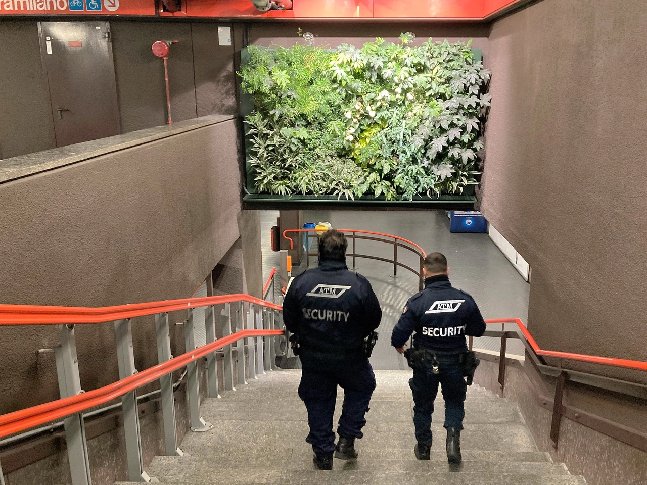immagine di sfondo 11