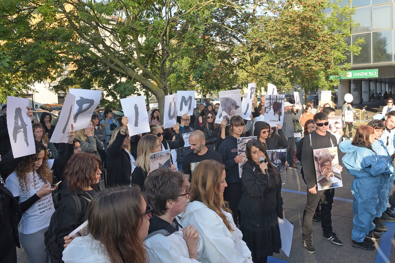 immagine di sfondo 11