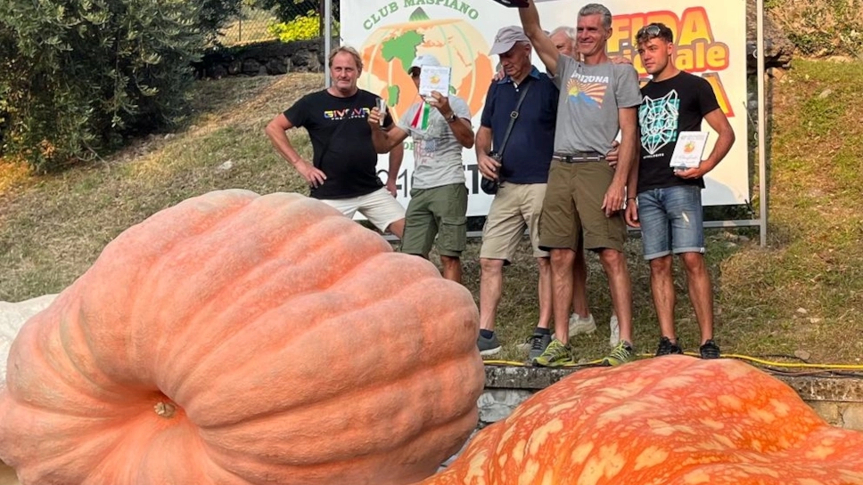 La zucca più grande d'Italia La zucca più grande d'Italia