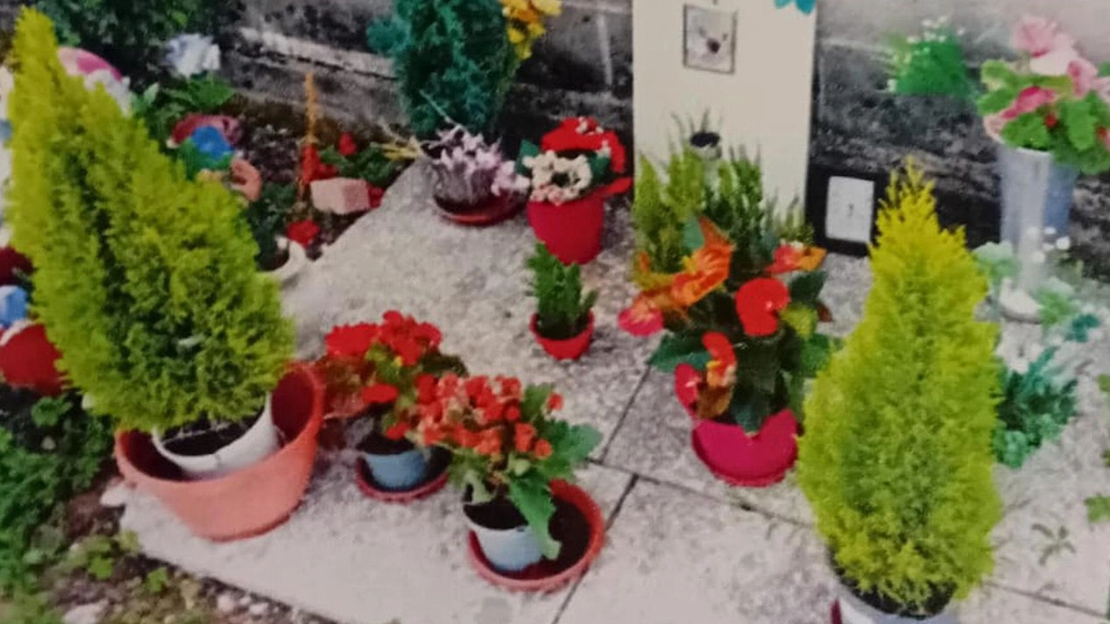 Il funerale fai da te. Una tomba abusiva per seppellire il cane: "Ora un vero cimitero"