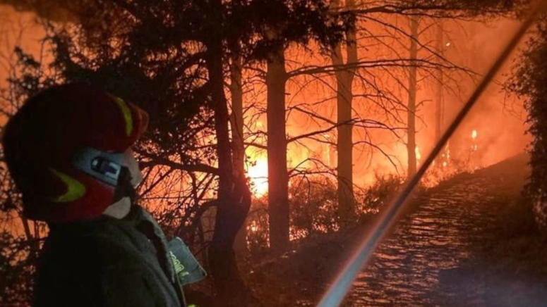 Un vigile del fuoco nel bosco in fiamme (foto dei Vigili del fuoco)