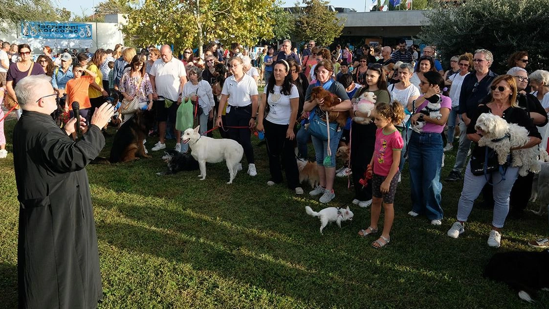 La festa degli animali: "Ma le cucce sono piene" La festa degli animali: "Ma le cucce sono piene"