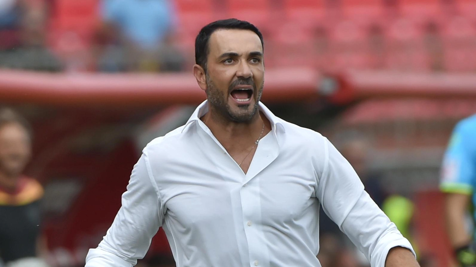 Palladino contro il “maestro” Sarri : "La Lazio? Una squadra di valore" Palladino contro il “maestro” Sarri : "La Lazio? Una squadra di valore"