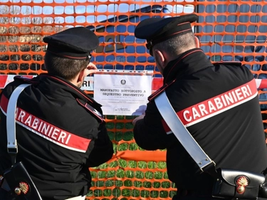 immagine articolo