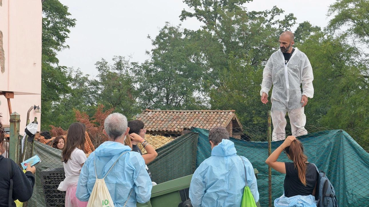 Gli attivisti asserragliati: "Volevamo evitare che Ats abbattesse i suini" Gli attivisti asserragliati: "Volevamo evitare che Ats abbattesse i suini"