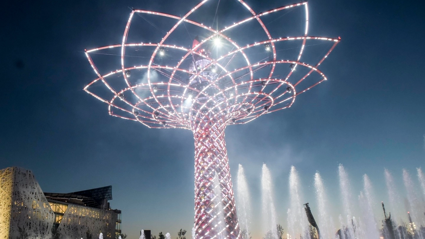 L'albero della vita di Expo 2015