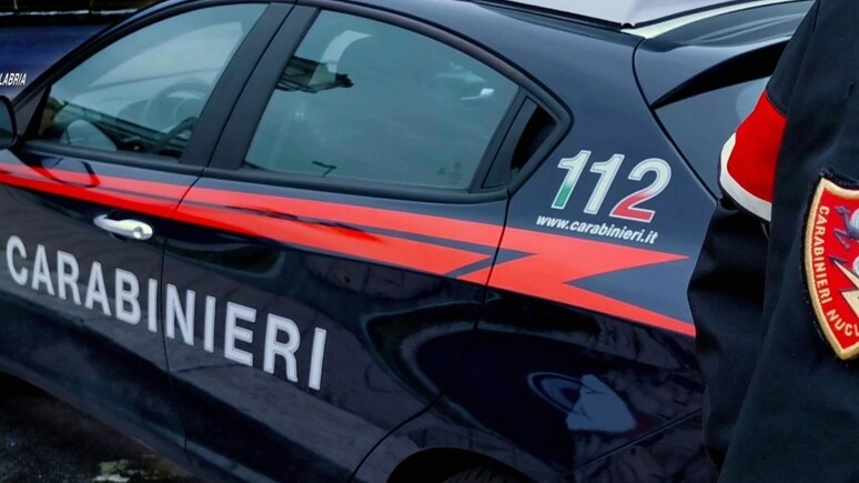 Sul fatto indagano i carabinieri (foto Ansa)