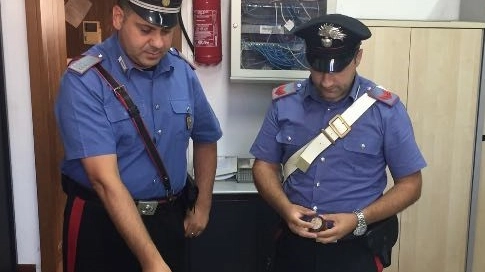 La droga sequestrata dai carabinieri di Pavia