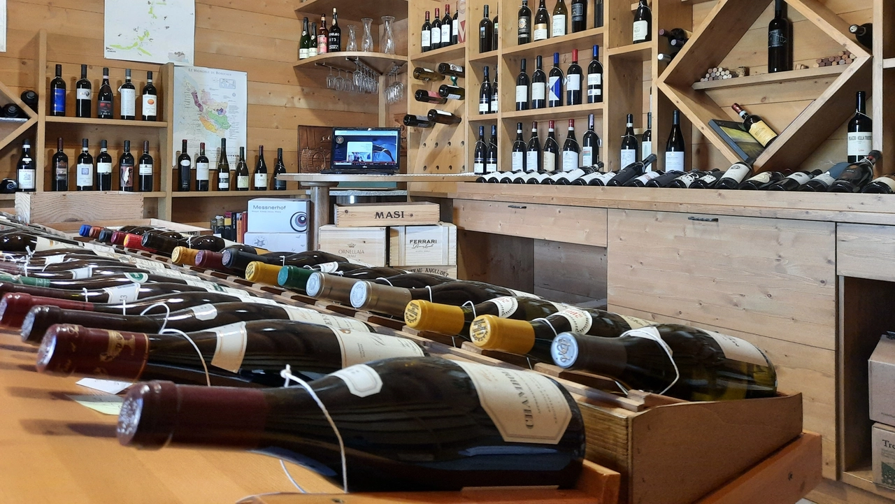 Vinarius, settimana di degustazione nelle enoteche di tutta Italia: protagonisti i vini del Pavese