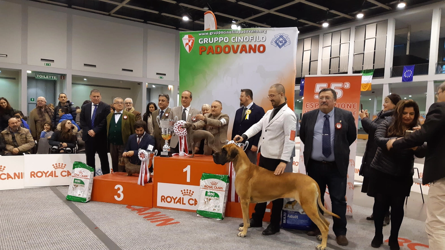 Podio tutto lombardo alla 55esima Esposizione Internazionale Canina di Padova