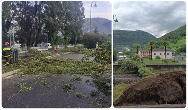 Maltempo nel Bresciano: alberi caduti e strade chiuse. Torrenti esondati, allagamenti in case e campeggi