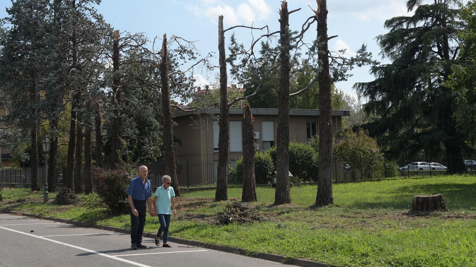 Si lavora senza sosta  Cimiteri e aree verdi  di nuovo accessibili  "Corsa contro il tempo"