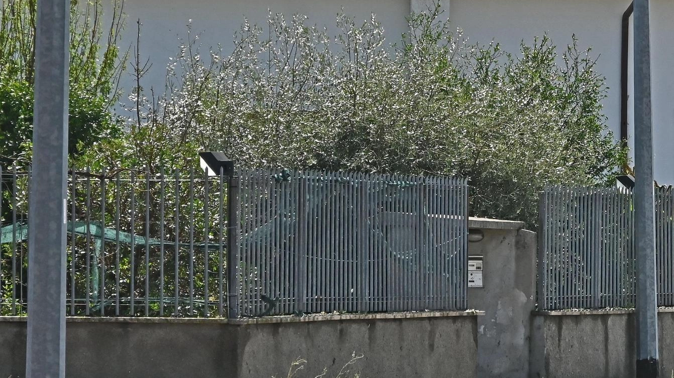 Soli dopo la grandine : "Nessun risarcimento per i danni alle case" Soli dopo la grandine : "Nessun risarcimento per i danni alle case"