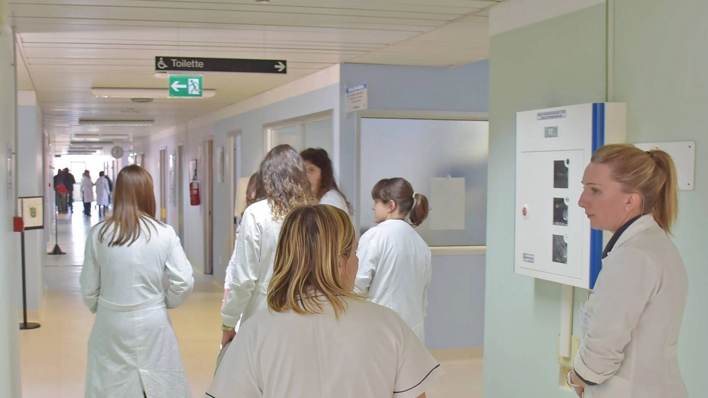 Nei reparti più difficili del San Matteo mancano  37 infermieri e non vengono rispettate le norme sugli orari  (Torres)