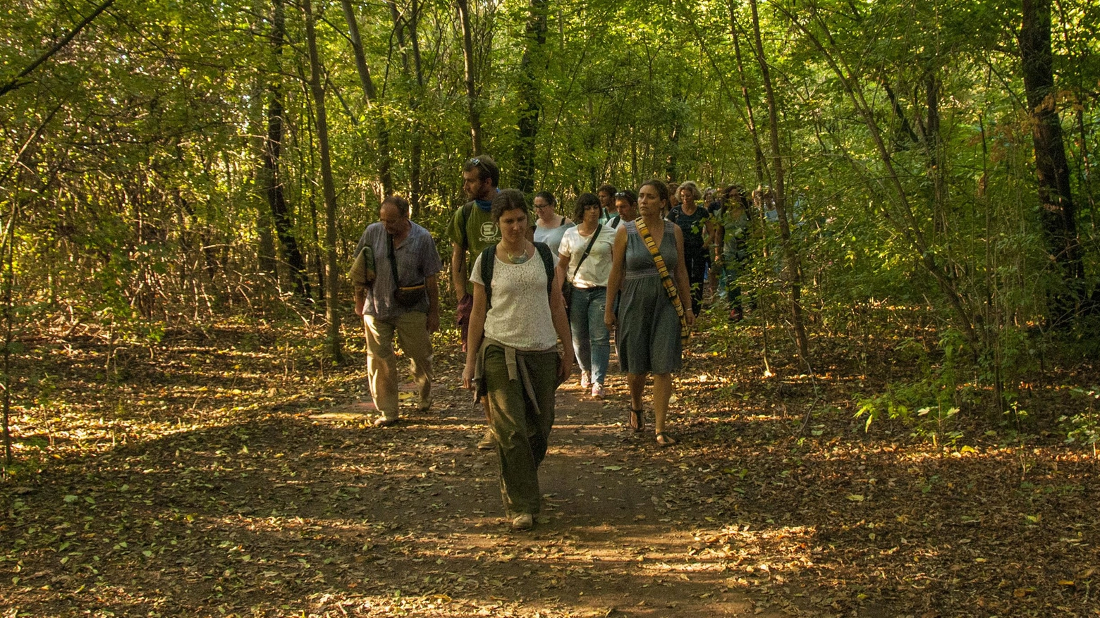 Spettacolo delle lucciole  nei sentieri del Parco  E domani Festa degli orti