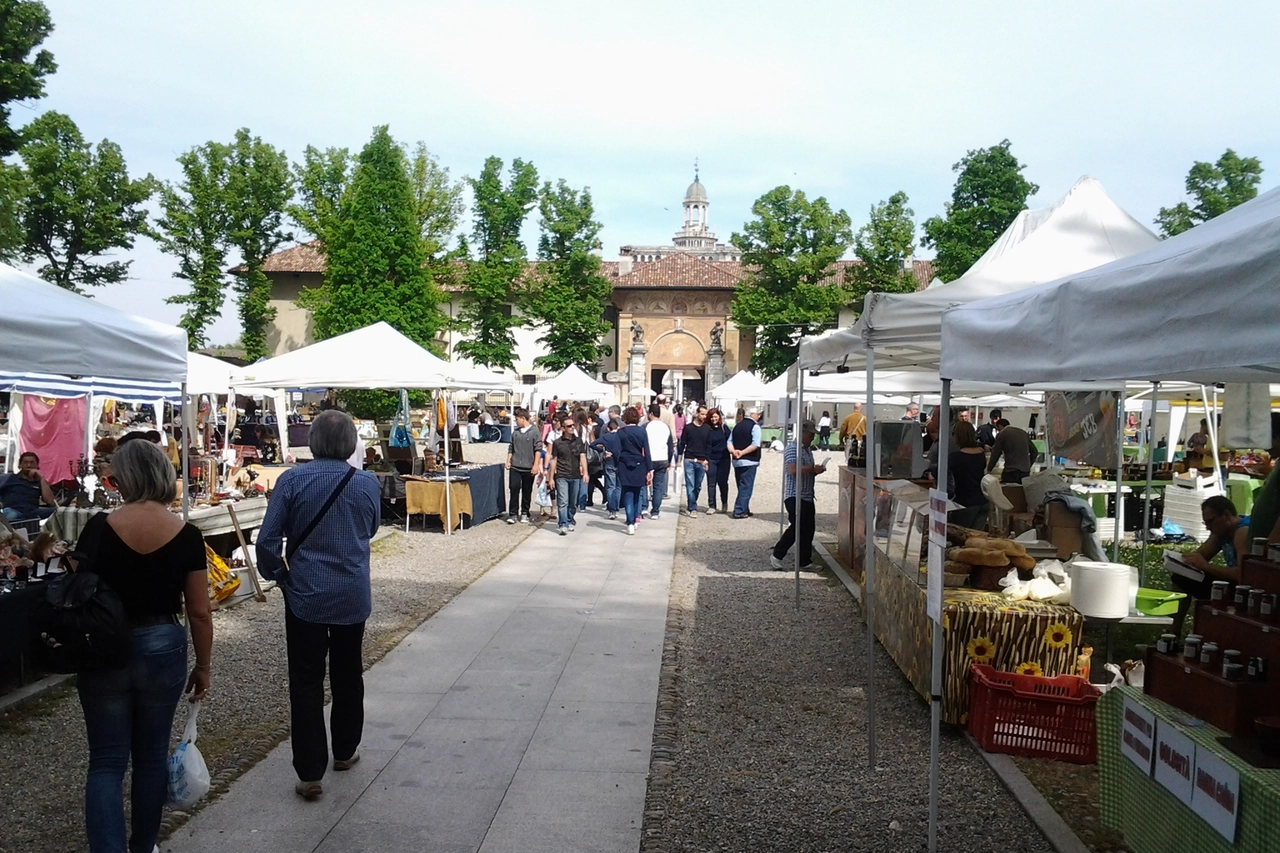 Mercatino Certosa di Pavia