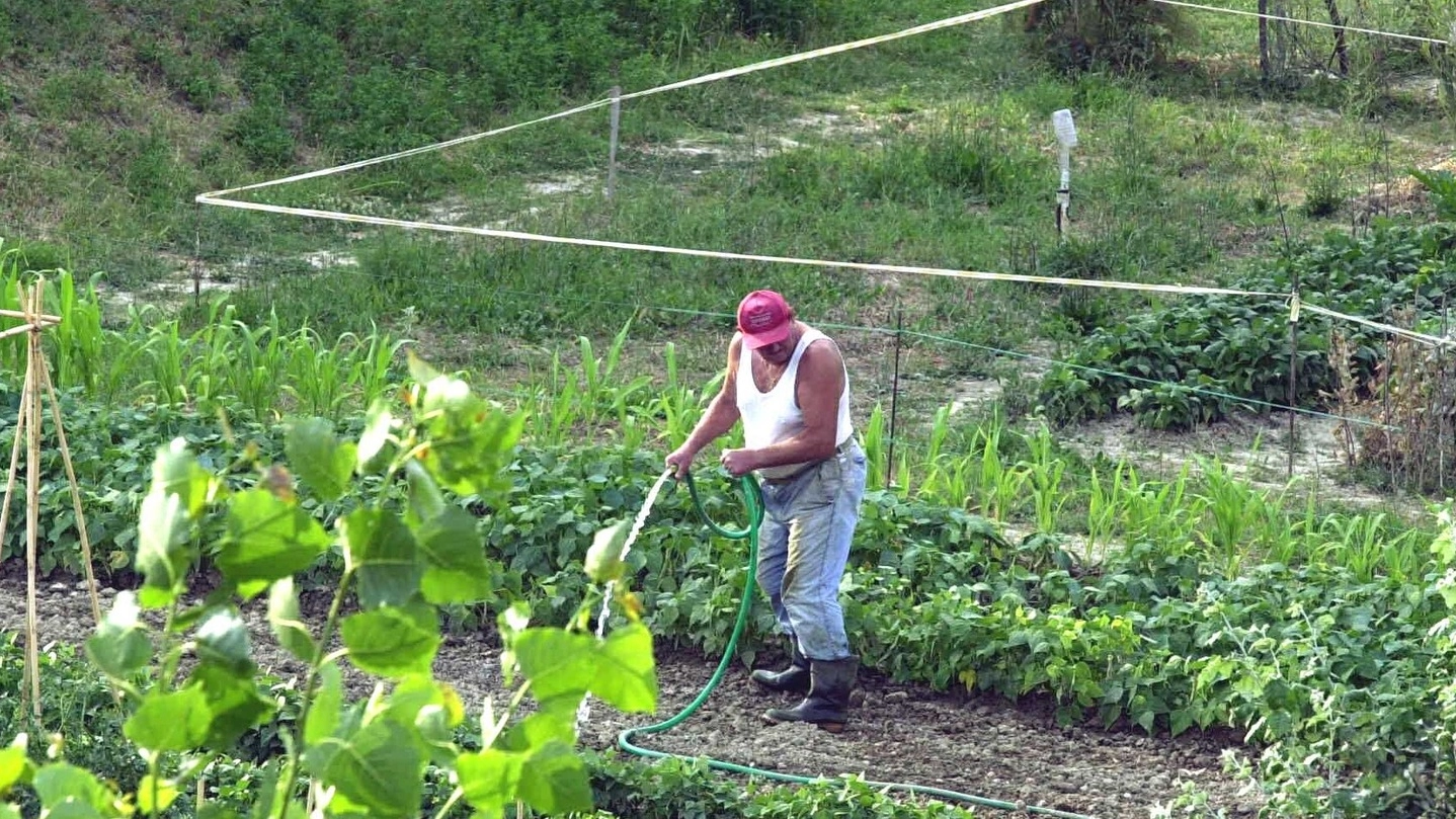 Un agricoltore al lavoro (Foto d’archivio)