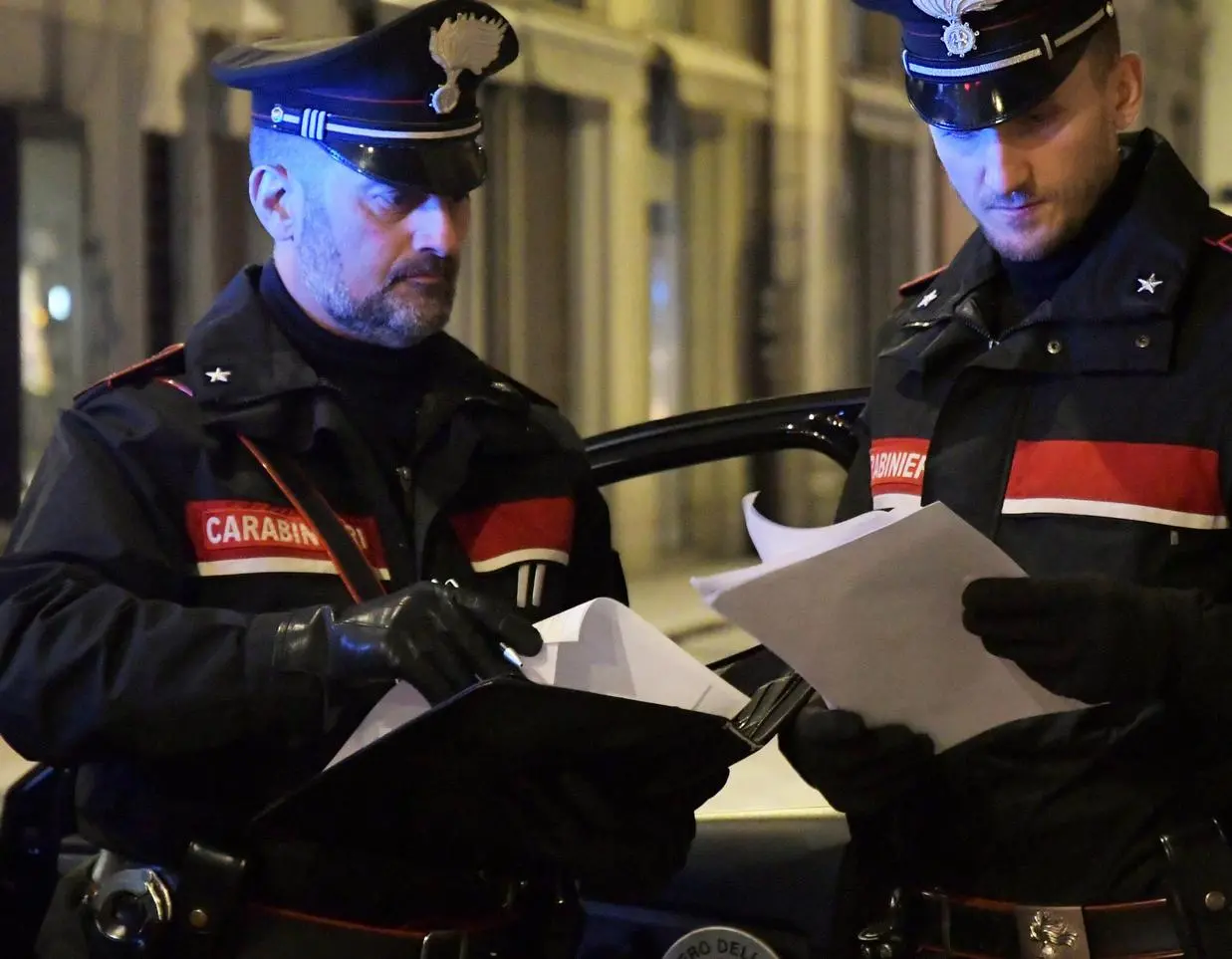 Topi d’appartamento non trovano nulla e devastano la casa