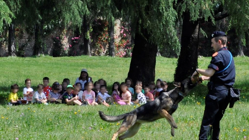 Tra rilievi e cani antidroga, a lezione di legalità Tra rilievi e cani antidroga, a lezione di legalità