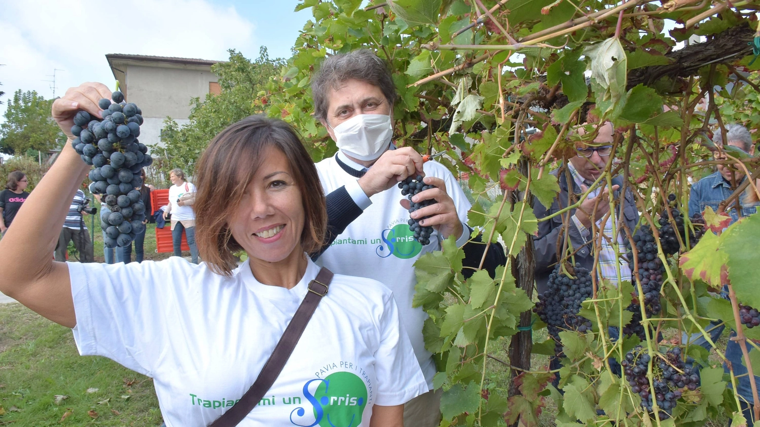 Medici, donatori e trapiantati che hanno partecipato alla vendemmia nell’azienda Brega (Torres)