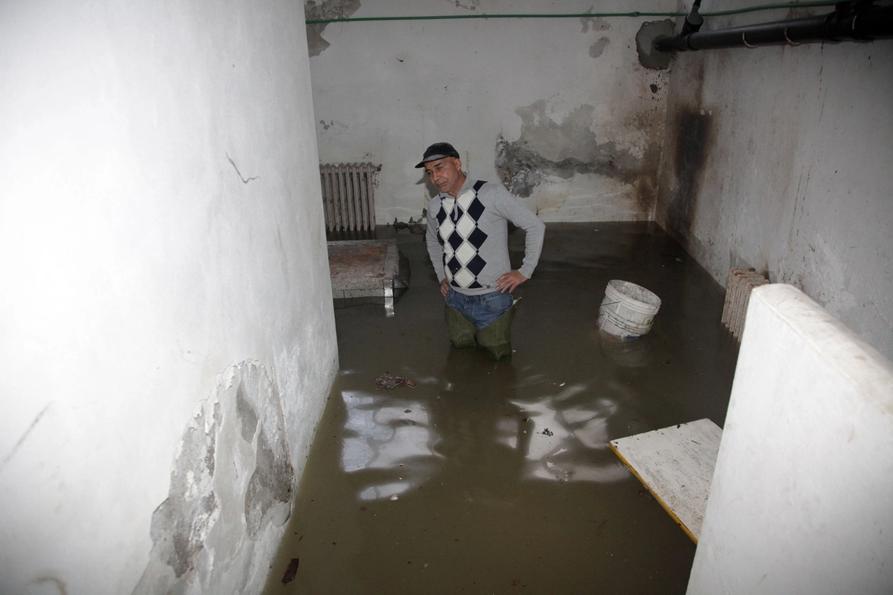 immagine di sfondo 6