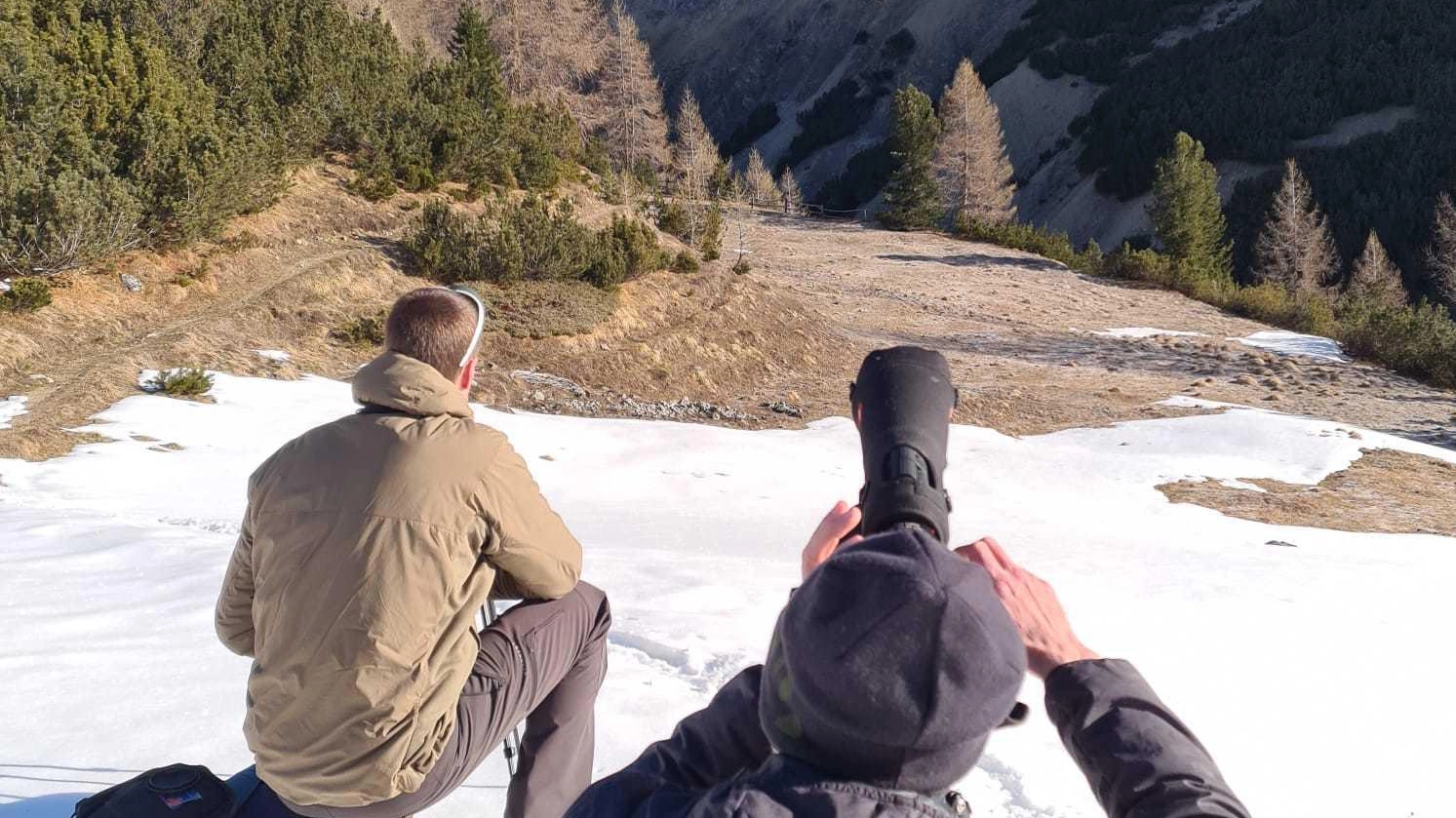 Il censimento degli animali  Si parte dal Parco dello Stelvio