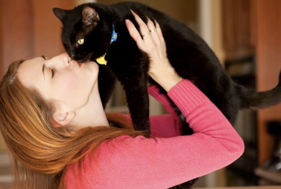 Per Halloween un gatto nero da adottare «Niente scherzetto, sì dolcetto:  una famiglia tutta per me»