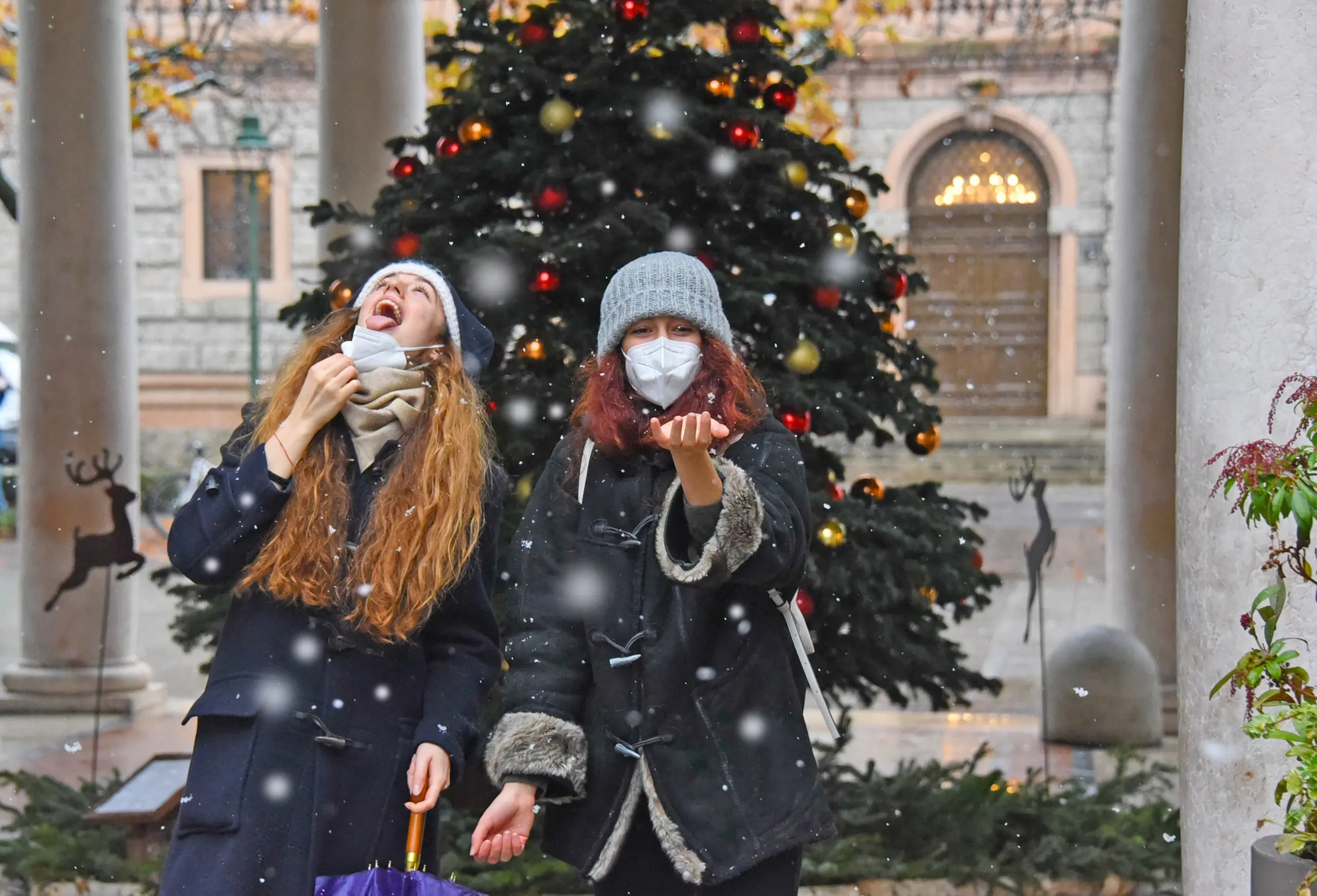 Cernusco: sotto l’albero gli aiuti a famiglie e negozianti